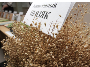 С Новым 2012 годом !