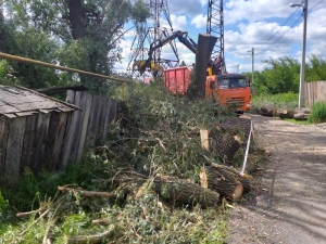 Вадим Супиков помог в опиловке аварийного дерева
