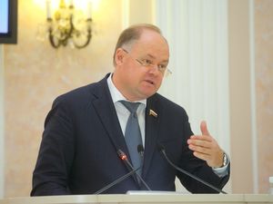 Общественная палата Пензенской области организовала публичные слушания по вопросу создания лесопарковых зеленых поясов 