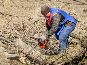 Организована опиловка аварийных деревьев по заявлениям граждан избирательного округа №1