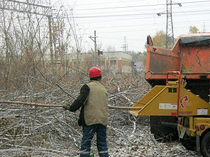 Вдоль железнодорожных путей проведены работы по санитарной очистке