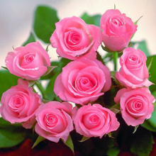 Вадим Супиков поздравил жительниц сурского края с праздником