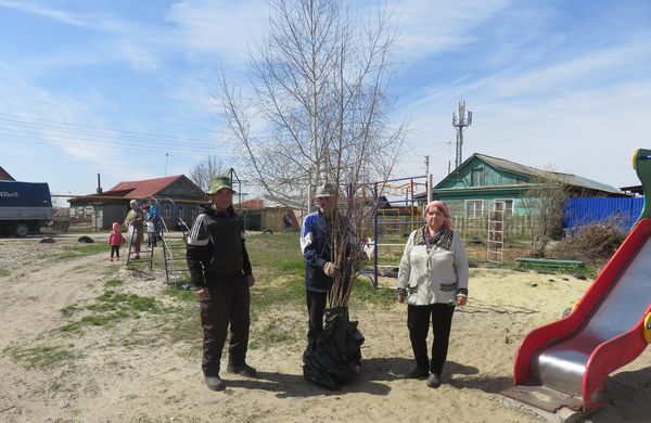 Согласие саженцы1.JPG