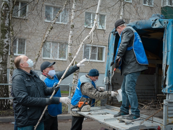 дерево.jpg