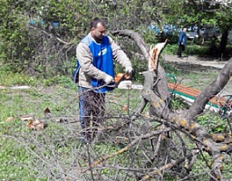 Во дворе дома по улице Чаадаева,91 установлена сушилка и спилены аварийные деревья