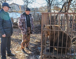 В Пензе нашли новый дом для медведя