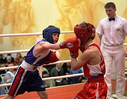 В Сердобске стартовал традиционный турнир по боксу «Дружина»