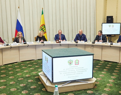 Совещание по вопросам реализации пилотного проекта направленного на стимулирование рождаемости