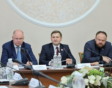 Заседание комитета Законодательного Собрания Пензенской области по бюджетной, налоговой и финансовой политике, под председательством Александра Акимова