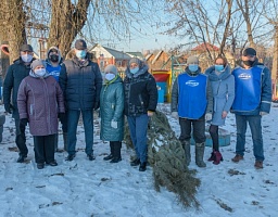 Во все образовательные учреждения первого округа доставлены елки