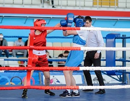 Пензенцы примут участие в Чемпионате России по боксу