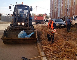 В Пензе организовали санитарный день