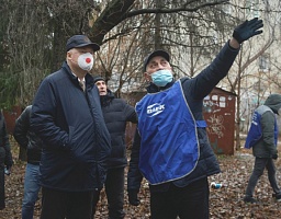Вадим Супиков помог провести опиловку аварийных деревьев возле МКД