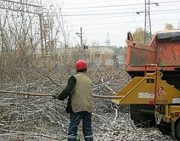 Вдоль железнодорожных путей проведены работы по санитарной очистке