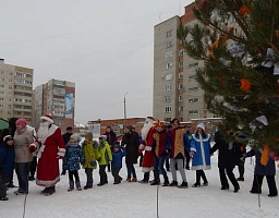 Жители улицы Антонова простились с ёлкой 
