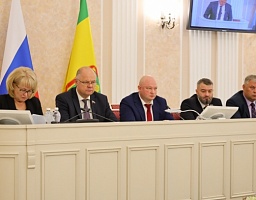 Совместное заседание комитетов Законодательного Собрания Пензенской области