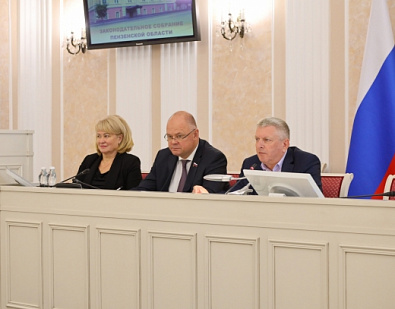 Совместное заседание комитетов регионального парламента