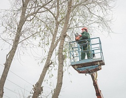 Вадим Супиков помог в проведении опиловки аварийных деревьев