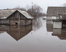 Формула работы депутата: проблема – анализ ситуации – решение